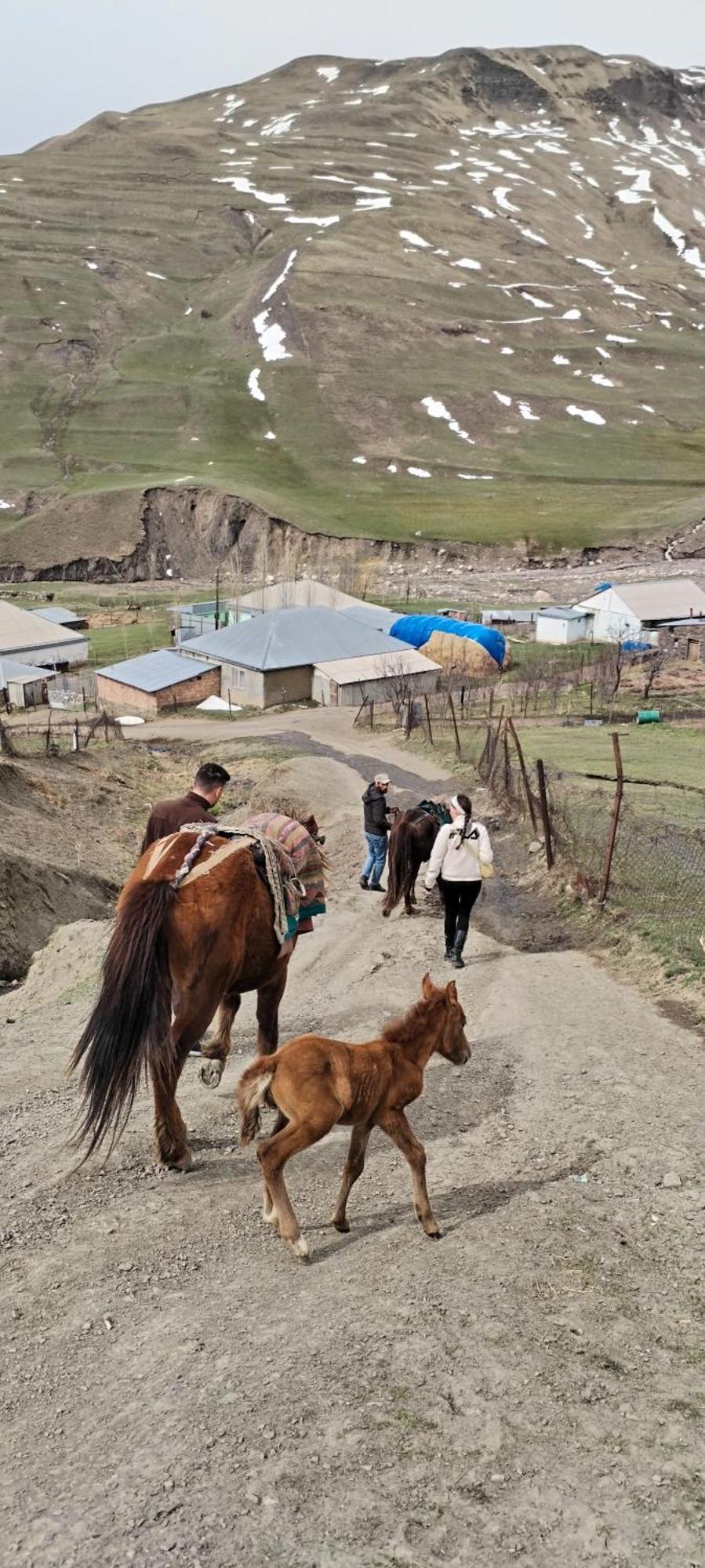Xinaliq Elnur Guest House, New Hotel Exteriör bild